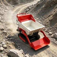 Nouvelle mini-chargeuse sur chenilles diesel de 442 kg avec composants d'engrenage - Produit du fabricant pour usage domestique