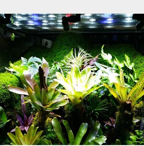 Экологичная Регулируемая насадка на 360 градусов для создания тумана в тропических джулях, насадка для тумана, система охлаждения террариума - Product Image 4