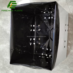 Mejor Bolsa <span class=keywords><strong>de</strong></span> Cultivo <span class=keywords><strong>de</strong></span> Hongos, la Mejor Bolsa <span class=keywords><strong>de</strong></span> Cultivo <span class=keywords><strong>de</strong></span> Hongos Todo en Uno y Bolsas <span class=keywords><strong>de</strong></span> Cultivo <span class=keywords><strong>de</strong></span> Hongos en Venta - Product Image 3