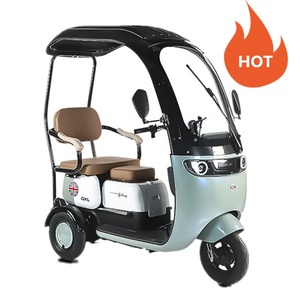 Scooter Eléctrico de Alta Calidad, 600W, Triciclo Eléctrico de Doble Uso para Pasajeros Adultos y Carga - Product Image 4