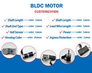 DİŞLİ <span class=keywords><strong>Motor</strong></span> için 200W çıkışlı 12V/24V/48V yüksek güçlü fırçasız DC solucan taşıyıcı bantlar - Product Image 6