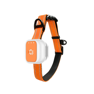 <span class=keywords><strong>Collier</strong></span> de suivi <span class=keywords><strong>GPS</strong></span> pour animaux de compagnie 365GPS, carte SIM 4G, navigation <span class=keywords><strong>GPS</strong></span> en temps réel, <span class=keywords><strong>traceur</strong></span> étanche pour chiens/chats, positionnement GSM/LBS, IP66, application - Product Image 2