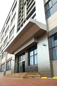 Boba de Kiwi de 2 lb para Bebidas Frías, Hecha en Taiwán, China, de Buena Calidad y Estable - Product Image 6