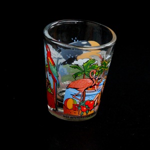 Bán buôn tùy chỉnh giá rẻ logo in Florida USA lưu niệm du lịch cá nhân cốc thủy tinh - Product Image 6