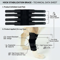 Attelle de soutien moderne pour articulation du genou canin, enveloppe de compression pour la jambe arrière du chien, pour entorses, soins des plaies et récupération des blessures