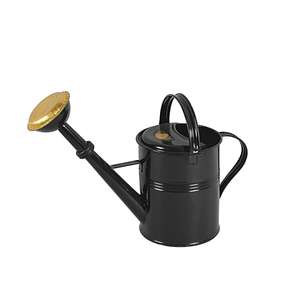 KOVOTVAR Gießkanne mit Messingbrause Deluxe 5 l grün - Product Image 1