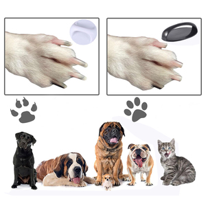 Lima de Uñas para Perros de Plástico Ecológico de Lujo Moderno Personalizada, <span class=keywords><strong>Juguete</strong></span> de Alimentación Lenta <span class=keywords><strong>con</strong></span> Papel de Lija Giratorio, <span class=keywords><strong>Ventosa</strong></span> Antideslizante, Tabla para Rascar - Product Image 4
