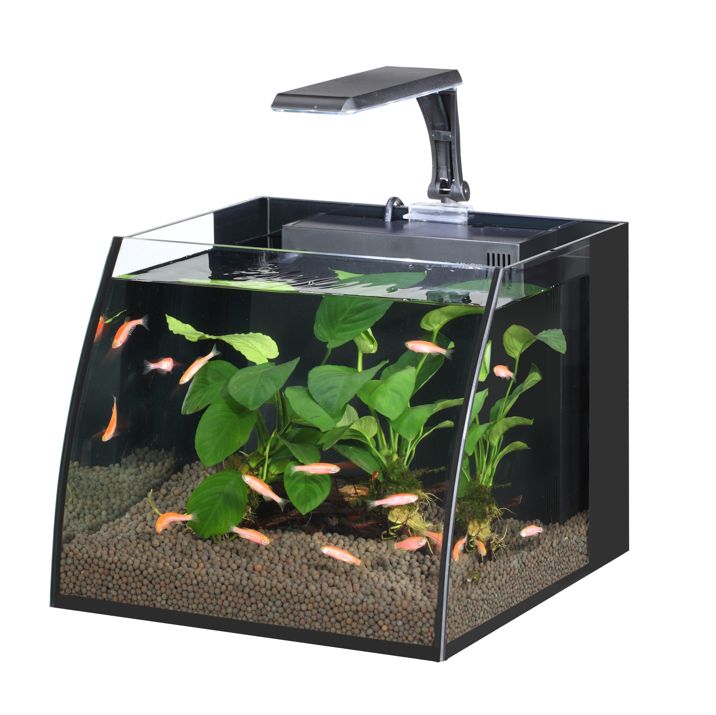 Nano Aquarium Trapezrium Verre ultra clair Chine Aquarium incurvé unique avec équipement de filtration