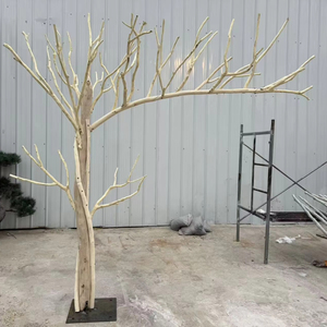 Dry Tree <strong>Branches</strong> Peeled Tree Trunk <strong>Branches</strong> <strong>Decorative</strong> Dead <strong>Branches</strong> Hotel Dead <strong>Branch</strong> Design Artificial Tree <strong>Branches</strong> - Product Image 1