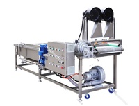 Bubbel Wasmachine Commerciële Ozon Fruit En Groente Wasmachine Fruit En Groenten Wasmachine Machine Met Ozon