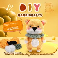 Kit Bahan Rajut Serat Akrilik untuk Kit DIY Boneka Buatan Tangan Video Bahasa Inggris Terlaris Anhui
