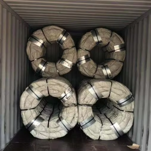 Alambre de Púas en Espiral de Acero Inoxidable para Protección y Construcción, Tipo Concertina - Product Image 6