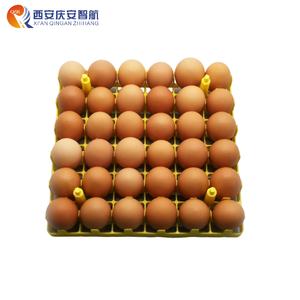 Plateau de transport PP QZH pour 36 œufs de poule pondeuse, emballage de haute qualité pour poulailler, prix usine - Product Image 3
