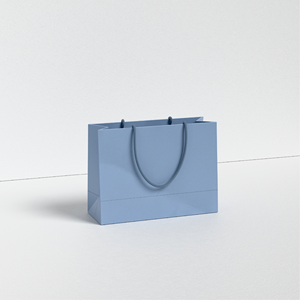 Custom Branded Luxury Art Paper <b>Gift</b> <b>Bags</b> for Shoes & Socks with Recyclable Cotton Rope Handle Gold Stamp Printing Custom Logo - Product Image 2