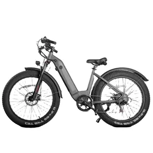 हॉट सेलिंग मूंटेन इलेक्ट्रिक बाइक 26 इंच की फैट टायर इलेक्ट्रिक बाइक बिक्री के लिए