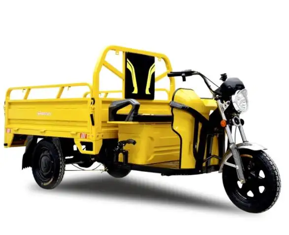 The manufacture cheap electric tricycle for 2 people cargo electric tricycle for adults