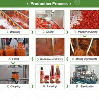 Complete productielijn voor het maken van Chili Colloid Grinding Pepper Puree