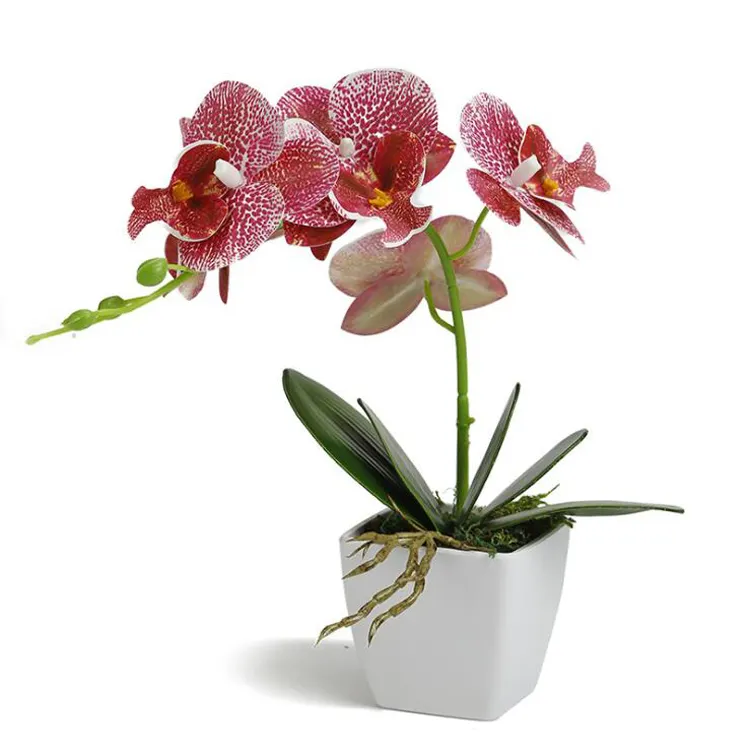 Высококачественные латексные цветы, настоящие на ощупь искусственные домашние орхидеи, бонсай, настольные Декоративные Искусственные Горшечные растения, Орхидея для помещений