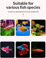 Aquarium compact intégré amélioré 2025 - Verre ultra-clair Jingjin, filtre inférieur et latéral, aquascaping pour salon