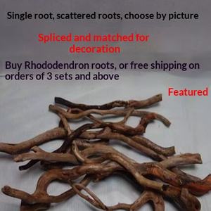 Décor aquatique : Racine de rhododendron, bois flotté, tronc d'arbre pour <span class=keywords><strong>aquarium</strong></span> rainforest, racine unique détachée - Product Image 3