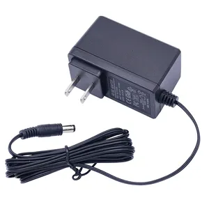 Input 100 240v 50/60Hz 12 Volt 2 Amp 12v 2a DC 12v2a 24w AC AC/DC Led CCTV Universal Power Adapter