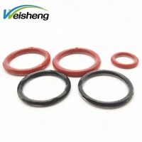 WS-SEALS Ptfe Fep Pfa gekapselter O-Ring mit Silikon fkm vmq Kern