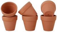 Pot en céramique en terre cuite pour cactus et succulentes, utilisation au sol, écologique, durable