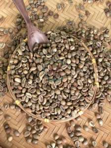 Robusta Tamaño 16 Origen de Vietnam Granos de café verde A 60kg A Plus 95 a 99% Pureza Bolsas a granel de alta calidad - Product Image 6