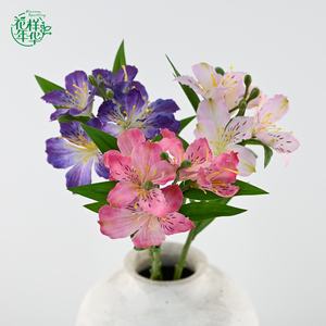 <span class=keywords><strong>Fleur</strong></span> artificielle en soie de qualité supérieure <span class=keywords><strong>Alstroemeria</strong></span> Peruvian Lily 62 cm pour la décoration intérieure, les bouquets de mariage, la Saint-Valentin, les arrangements de Pâques - Product Image 1