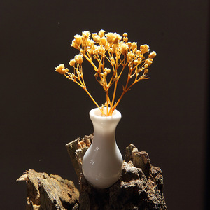 Miniatura <span class=keywords><strong>de</strong></span> jarrón <span class=keywords><strong>de</strong></span> porcelana blanca para <span class=keywords><strong>casa</strong></span> <span class=keywords><strong>de</strong></span> <span class=keywords><strong>muñecas</strong></span>, adorno cerámico exquisito, imán para refrigerador para juegos <span class=keywords><strong>de</strong></span> simulación infantiles. - Product Image 1