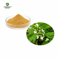 Extrait de Marrubium Vulgare et de Chardon pour les Remèdes Traditionnels à Base de Plantes Compléments Alimentaires Naturels et Produits Botaniques