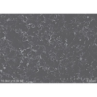 Matériau de pâte conductrice de batterie au lithium à dispersion aqueuse de nanotubes de carbone à haute concentration 5% 8% 10%