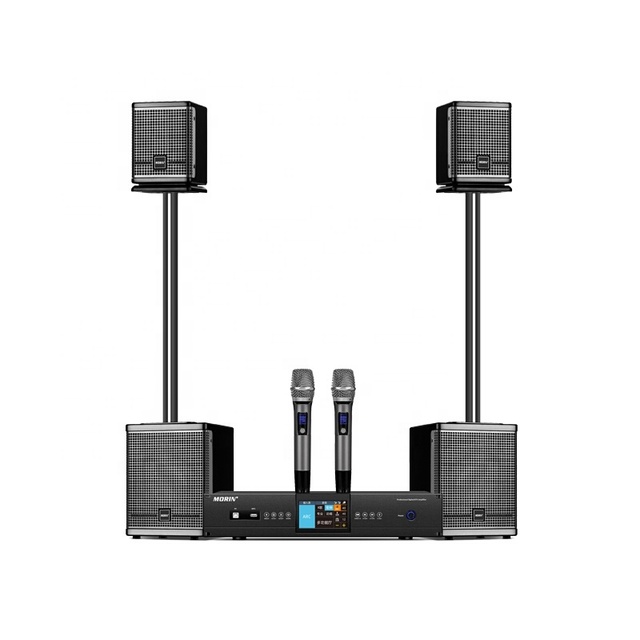 High-end 6.5 Inch Super Woofer Home Singing Karaoke Family Indoor Karaoke KTV Audio Speaker with Wireless Microphone