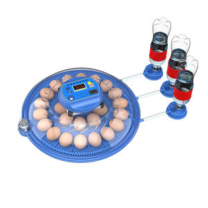 Incubateurs à œufs pour 62 œufs avec retourneur automatique, contrôle automatique de la température, petit incubateur numérique pour poulets et oiseaux - Product Image 2