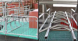 Double Farrowing Crate w/ V-Steel Sow Floor + Plastic Piglet Slat Saves 15% Feed for 2 Sows protects 16 teats per pair - Product Image 2