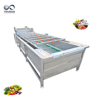 YouBan CE-gecertificeerde 304 roestvrijstalen bubbelwasmachine automatische groente- en fruitwasser luchtbellenreinigingsapparatuur