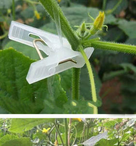 Clip de suspension DaringFish pour semis de concombres, tomates, melons, courgettes et autres légumes en serre - Product Image 5