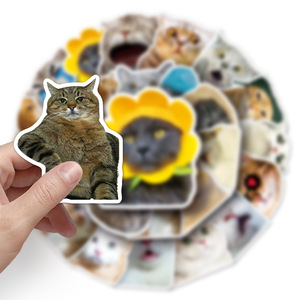 Interessante cartone animato impermeabile gatto <span class=keywords><strong>emoji</strong></span> decorazione adesivo materiale PVC stampa Offset all'ingrosso MOQ 100 pz - Product Image 5