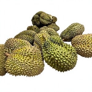 Durian Ri6 Monthong Premium Fresco de Vietnam, Fruta Natural para Recetas de Postres, Servicios de Alimentación, Mercados Frescos y Venta al por Menor - Product Image 1