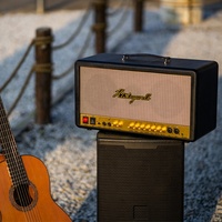 Amplificateur combo pour guitare Voxfull MS06 avec caisson de basses, microphone sans fil, support, sortie 2x150W, construction en bois et alliage d'aluminium