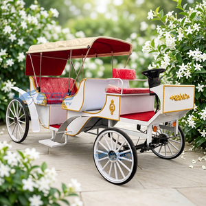 Charrette électrique et à chevaux de luxe classique européenne à quatre roues avec auvent pliable pour les visites en plein air - Product Image 1