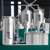 Nouveaux produits chauds équipement de brassage 50l de brew à la maison micro brasserie utilisé à vendre mini bière pub avec bon prix