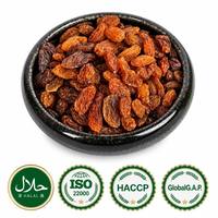 Raisins rouges séchés, fruits secs, naturellement sucrés, couleur riche, collation premium, ingrédient pour la pâtisserie et la cuisine, durée de conservation de 12 mois, sans ingrédients ajoutés