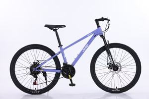 Vélo Jeep 12 à 18 ans adolescent VTT étudiant hommes et femmes Style vélo de marche-EX1 - Product Image 5