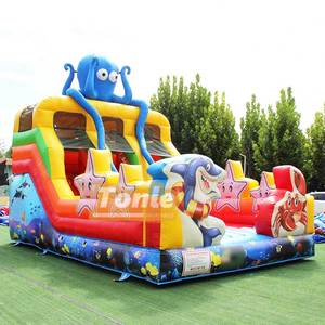 Dual Lane trượt trẻ em dưới nước Thế Giới trượt bơm hơi để bán - Product Image 3