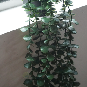 Chậu Cây Giả Mini Trang Trí Trong Nhà Chậu Cây Treo Tường Nhân Tạo Giá Rẻ Bán - Product Image 5