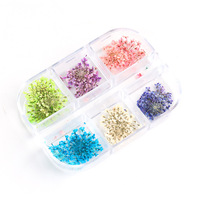 6 grille naturelle vraie fleur sèche 3d bricolage fleurs séchées charme pressé UV gel décoration manucure ongles fleurs