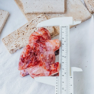 Offre Spéciale : Sculptures de cochon volant en <span class=keywords><strong>quartz</strong></span> naturel poli, 70-80 mm, en divers matériaux, cristal de <span class=keywords><strong>quartz</strong></span> à vendre - Product Image 3
