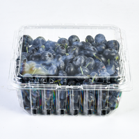 Conteneur en plastique PET en forme de rectangle pour fruits, emballage transparent pour myrtilles avec trous de ventilation, vente en gros