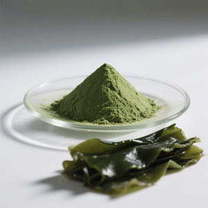 Supply Pure Food Grade 99% Fresh Dehydrated <strong>Kelp</strong> <strong>Powder</strong> <strong>Kelp</strong> Extract <strong>Powder</strong> - Product Image 1
